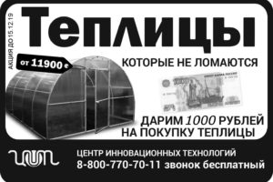 акция 15.12.19 акция 15.12.19