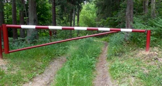 В Волгодонском районе введён режим ограничения пребывания граждан в лесах