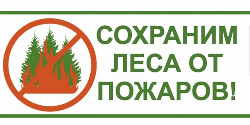 pozhar-v-lesu