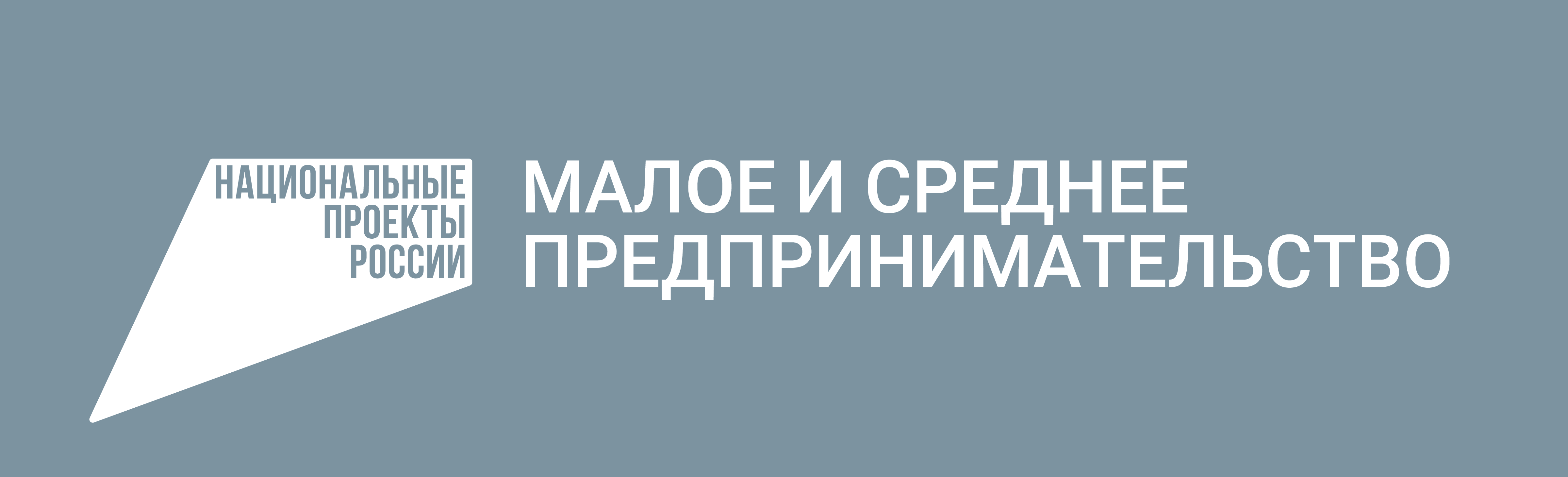 Национальный проект поддержки малого и среднего предпринимательства