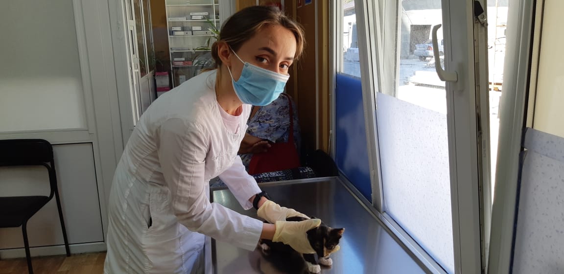 Ветеринарная служба Ростовской области готовит новые кадры