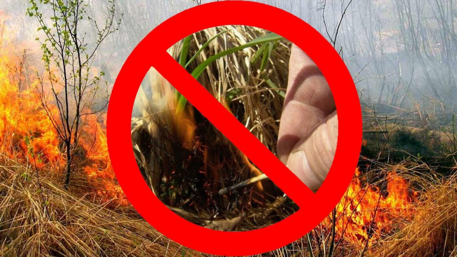 О недопустимости выжигания пожнивных остатков на сельскохозяйственных землях