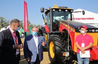 день донского поля