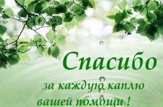 благодарность