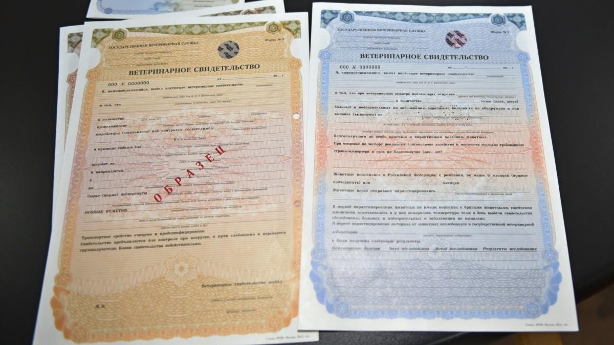 В Ростовской области запрещен ввоз цветочной пыльцы без ветеринарно-сопроводительных документов
