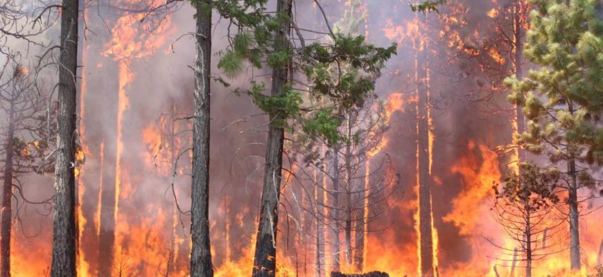 о предупреждении пожаров