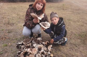 Астахова Оксана Евгеньевна