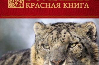 красная книга