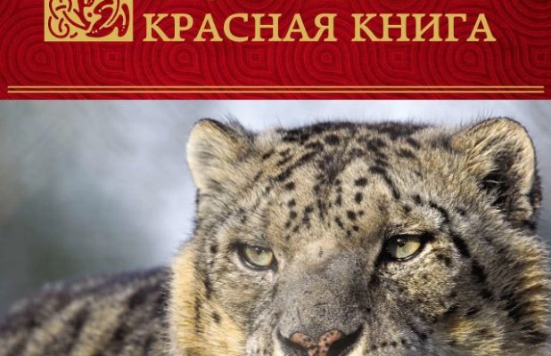 красная книга