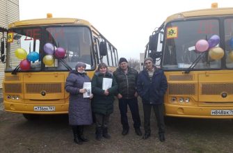 школьные автобусы