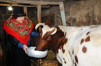 Ольга Юрьевна Скутнева