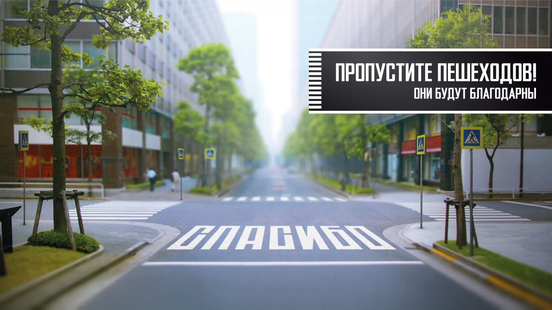 В Волгодонском районе проводится профилактическое мероприятие «Водитель, пропусти пешехода»