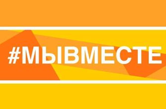my_vmeste