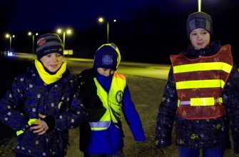 световозвращающие