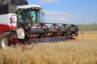 уборка зерна