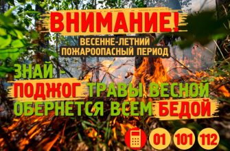 Весенне-летний-период