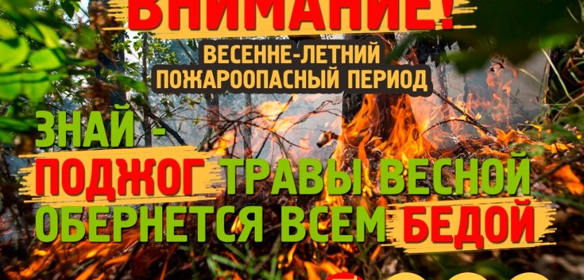 Весенне-летний-период