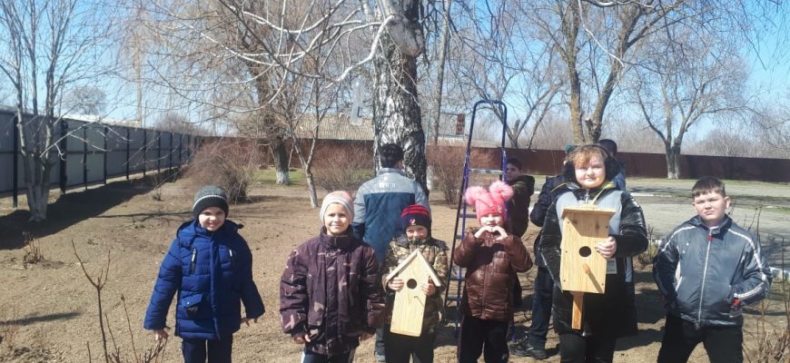 день птиц большовская