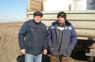 мелиоратор