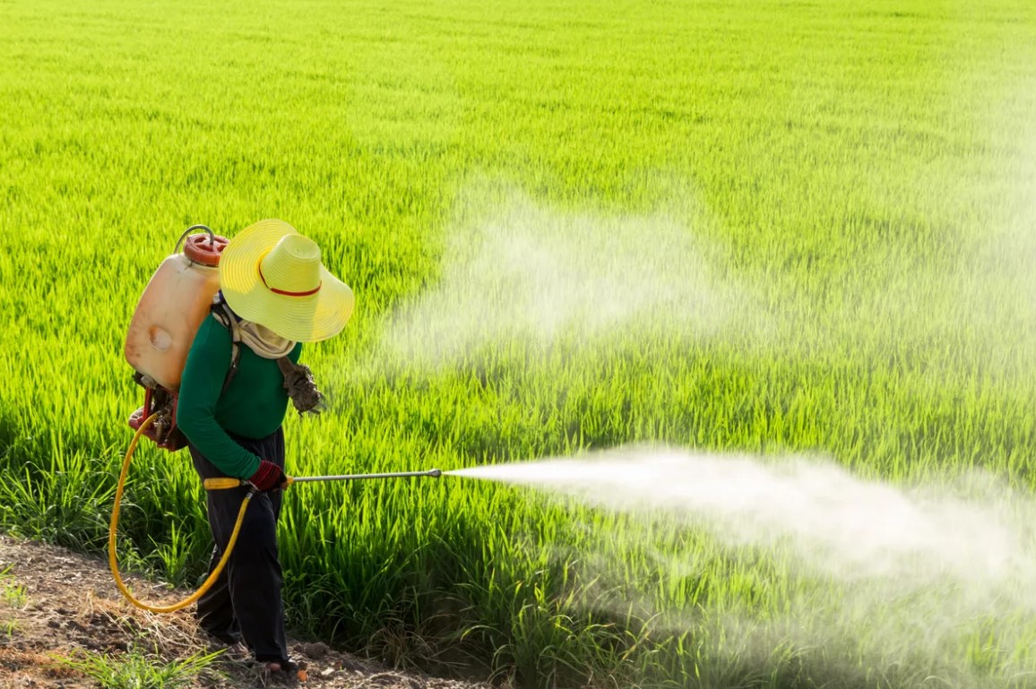 Обработка полей пестицидами. Удобрения и пестициды. Ядохимикаты распыляют. Химикаты в сельском хозяйстве. Распыление пестицидов.