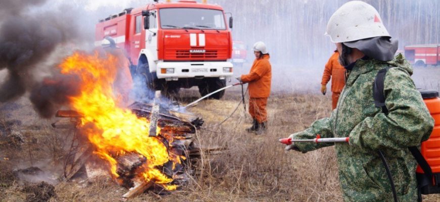 пожар в лесу