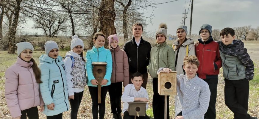 Скворечники