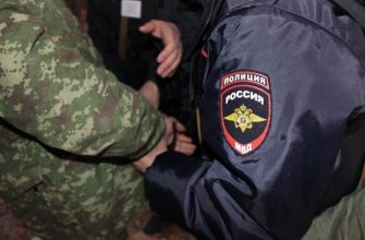 сводка мвд