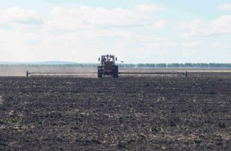 влага на полях