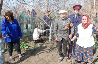 волонтеры победы