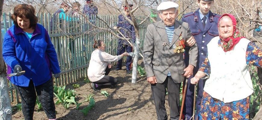 волонтеры победы