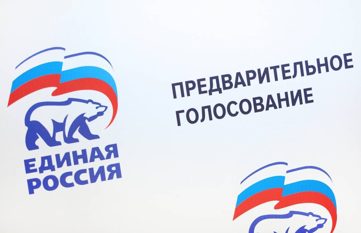 Многие участники предварительного голосования кандидатов «Единой России» на Дону — новички в политике