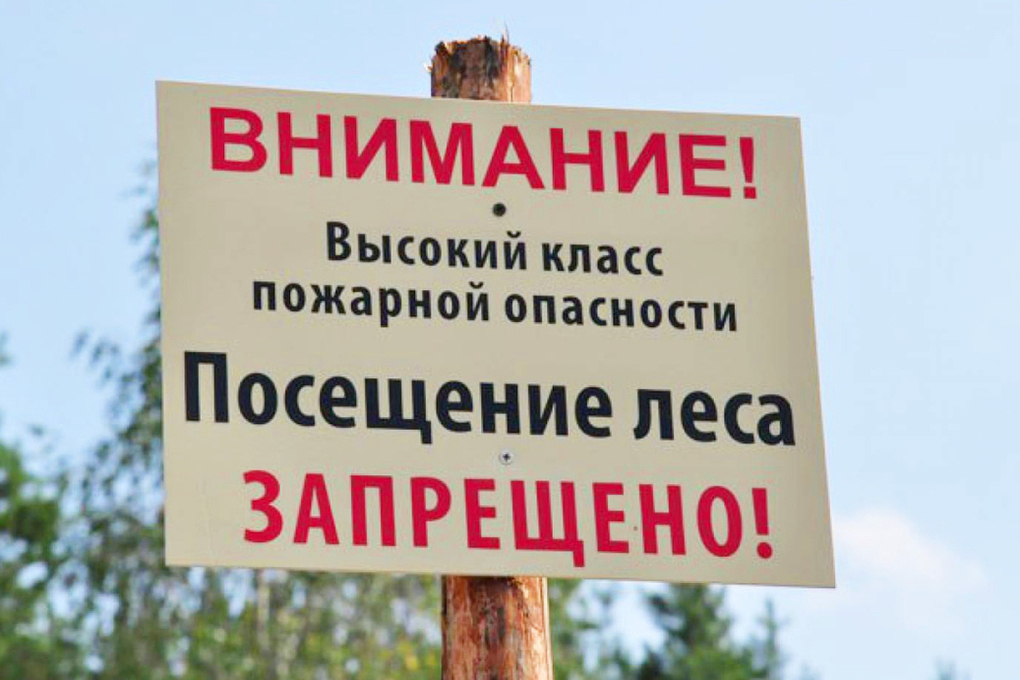 На Дону продлён режим ограничения пребывания граждан в лесах