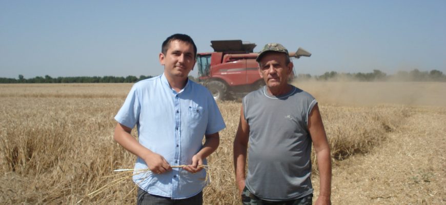 грачики