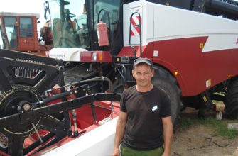 Николаев Возрождение