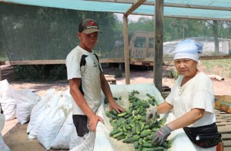 огуречники