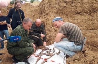 останки на сальском заводе