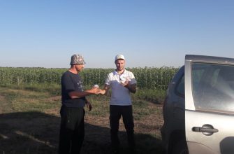 выпуск энтомофага