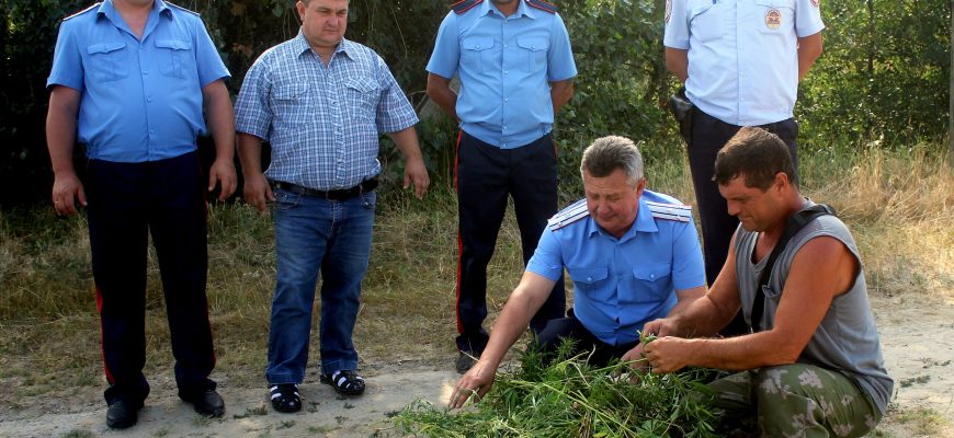 Единый день борьбы с коноплей