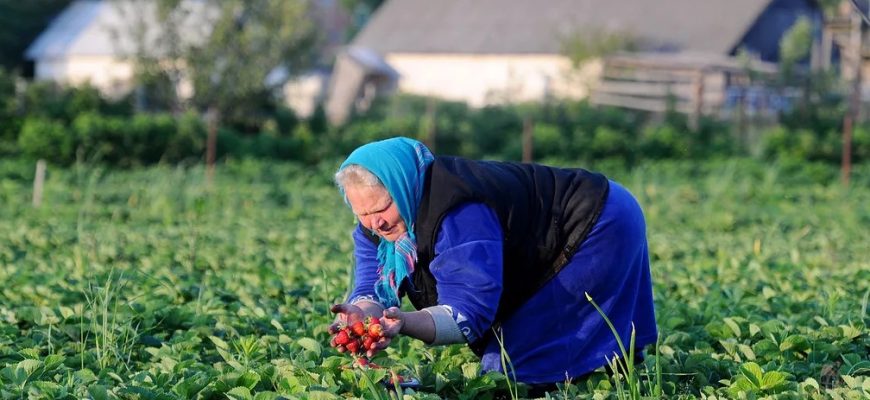 пенсионерка