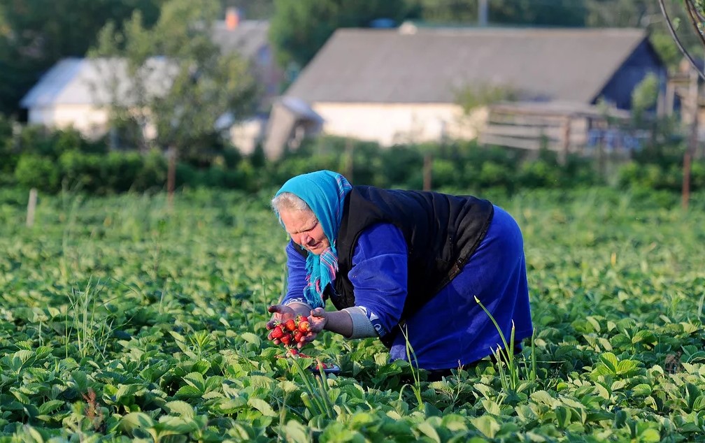 Свыше 200 пенсионеров в Ростовской области получат право на сельскую надбавку в 2022 году