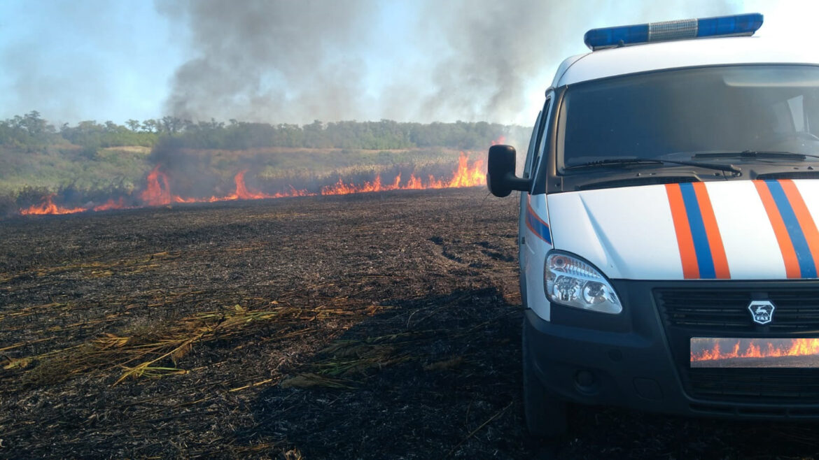 Спасатели Ростовской областной поисково-спасательной службы ежемесячно выезжают для ликвидации ландшафтных пожаров