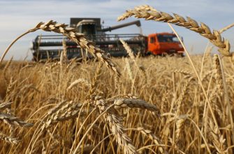 день работника сх