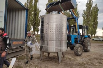 молчанов