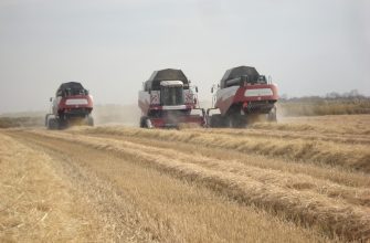 на полях района