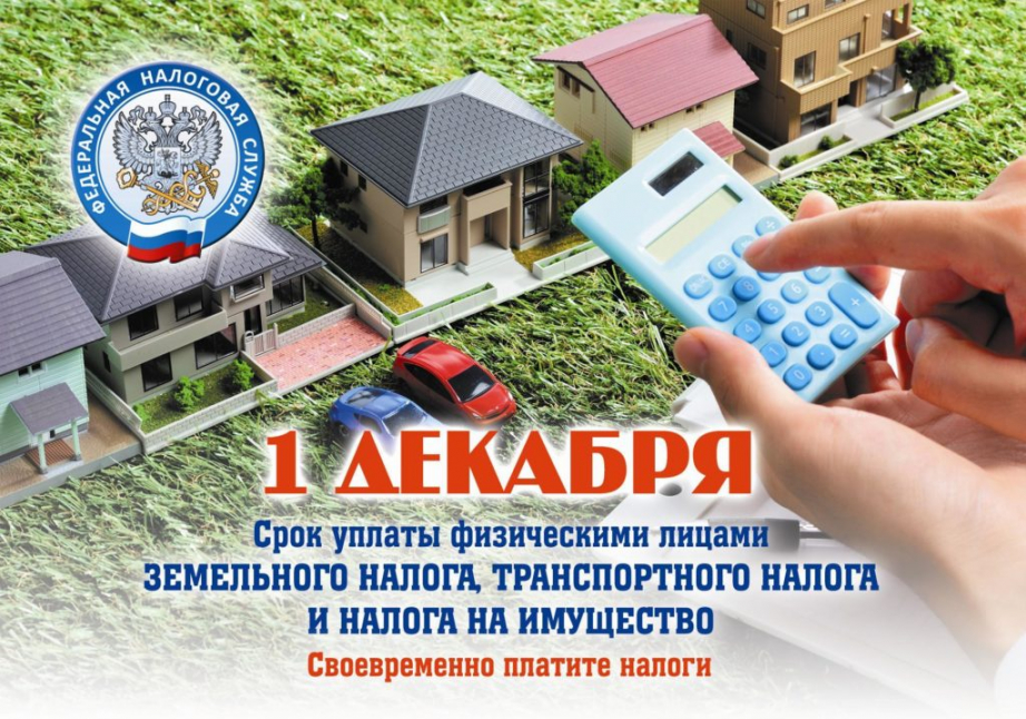 Межрайонная ИФНС России № 4 по Ростовской области информирует о сроках уплаты имущественных налогов в 2021 году