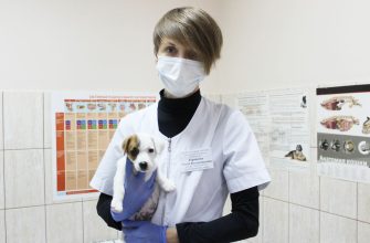 sterilizatsiya
