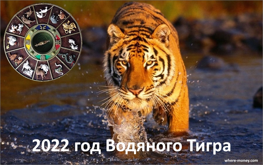Встречаем Новый 2022 год тигра правильно: рекомендации, чтобы всё прошло идеально