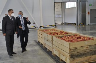 frukty-1