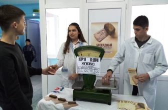 побединский сдк