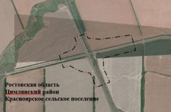 строительство дороги